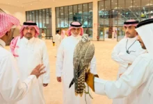 استعدادات مبكرة لمهرجان الصقور بطريف نحو نسخة استثنائية
