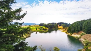 منتزه سيلا الوطني.. جنة الطبيعة والمغامرات في قلب كالابريا الإيطالية
