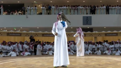 مطلع أكتوبر.. انطلاق مزاد المركز الوطني للصقور لصقور الطرح المحلي